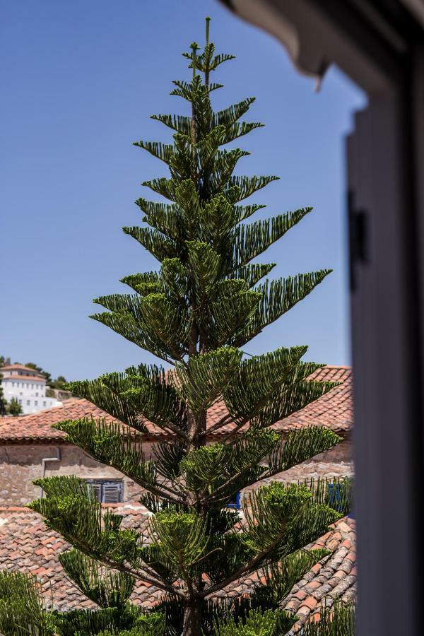 Arokaria Boutique Apartments Hydra  Bagian luar foto
